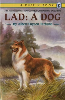Lad - A Dog
