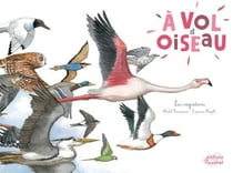 À vol d'oiseau - La migration des oiseaux