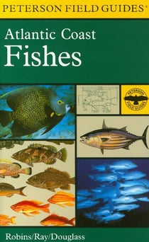 A Field Guide To Atlantic Coast Fishes - North America