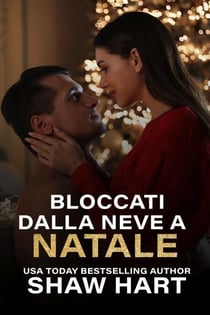 Bloccati dalla neve a Natale - Happily Ever Holiday