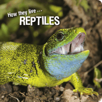 How they live... Reptiles - Learn All There Is to Know About These Animals!