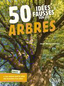 50 idées fausses sur les arbres