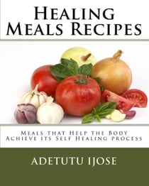 Healing Meals Recipes - The Computer User Health Solutions, #2