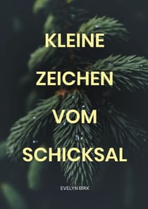 Kleine Zeichen vom Schicksal - Ein spannender Liebesroman mit Tiefgang