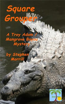 Square Grouper - Troy Adam / Mangrove Bayou, #5