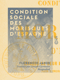 Condition sociale des Morisques d'Espagne - Causes de leur expulsion, ses conséquences