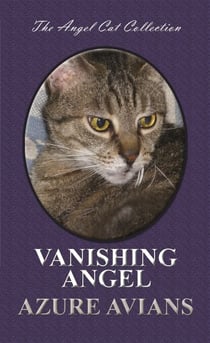Vanishing Angel - Angel Cat Collection, #6