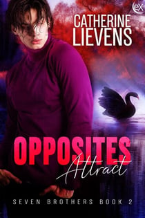 Opposites Attract - Seven Brothers, #2