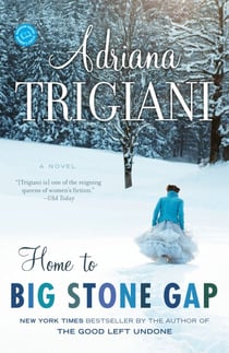Home to Big Stone Gap - A Novel