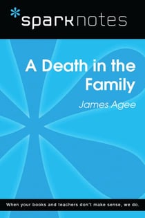 A Death in the Family (SparkNotes Literature Guide)