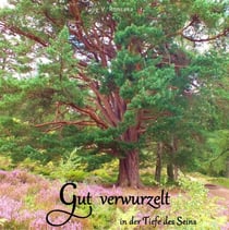 Gut verwurzelt - In der Tiefe des Seins