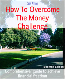 How To Overcome The Money Challenge - Comprehensive  guide to achieve financial freedom