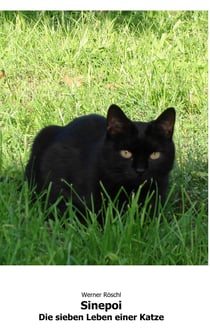 Sinepoi - Die sieben Leben einer Katze