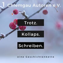 Trotz. Kollaps. Schreiben. - Eine Geschichtenkette