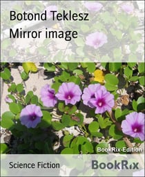 Mirror image