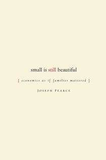 Small is Still Beautiful - Economics as if Families Mattered
