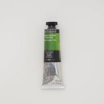 Peinture à l'huile Sennelier - Extra-fine - 40 ml - n°819 vert de vessie