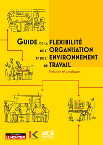 Guide de la flexibilité de l'organisation et de l'environnement de travail - théorie et pratique