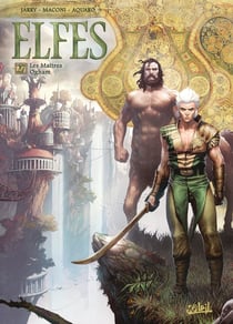 Elfes Tome 27 : les maîtres Ogham