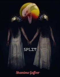 Split - Demon Series, #3