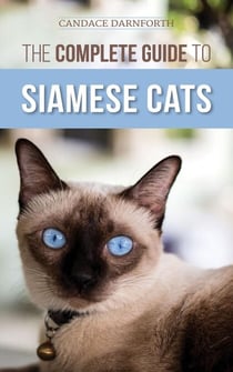The Complete Guide to Siamese Cats