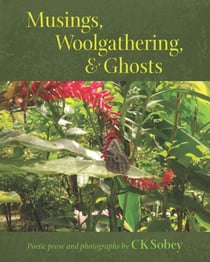 Musings, Woolgathering, & Ghosts - Musings, Woolgathering, & Ghosts, #1