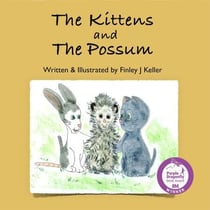 The Kittens and The Possum - Mikey, Greta & Friends Series