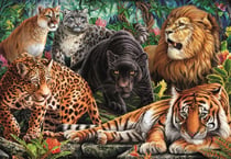 Puzzle 500 pièces - High Quality Collection - Wild cats