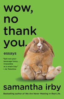 Wow, No Thank You. - Essays (Lambda Literary Award)