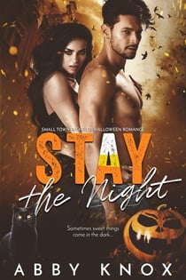 Stay The Night - Small Town Bachelor Romance, #5