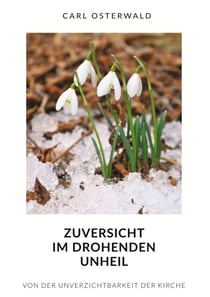 Zuversicht im drohenden Unheil - Von der Unverzichtbarkeit der Kirche