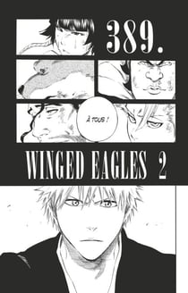Bleach - T45 - Chapitre 389 - WINGED EAGLES 2