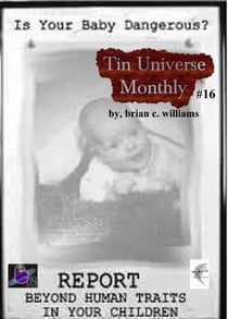 Tin Universe Monthly #16 - Tin Universe, #23