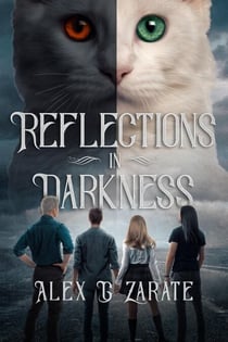 Reflections In Darkness - Connections, #2