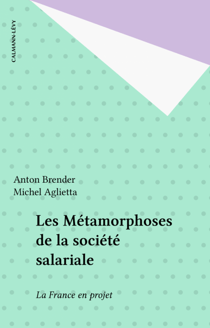 Les Métamorphoses de la société salariale - La France en projet