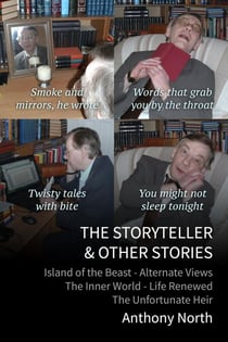 The Storyteller & Other Stories