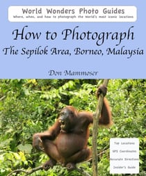 How to Photograph The Sepilok Area, Borneo, Malaysia