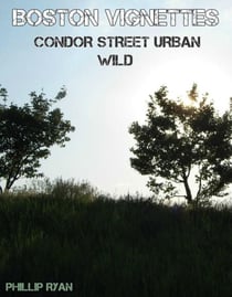 Boston Vignettes - Condor Street Urban Wild