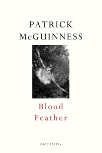 Blood Feather - ‘He writes with Proustian élan and Nabokovian delight’ John Banville