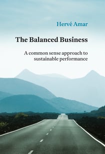 The Balanced Business - A common sense approach to sustainable performance