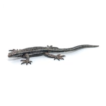 Lézard commun - Papo