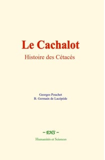 Le Cachalot - Histoire des Cétacés
