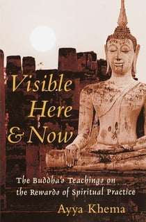 Visible Here and Now - The Buddha's Teachings on the Rewards of Spiritual Practice