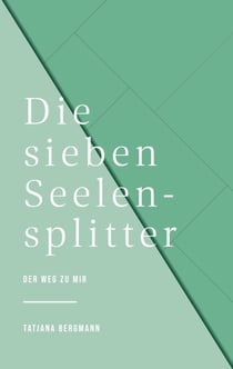 Die sieben Seelensplitter - DER WEG ZU MIR