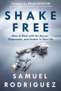 Shake Free - How to Deal with the Storms, Shipwrecks, and Snakes in Your Life