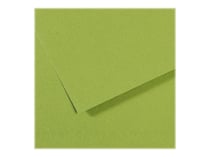 Feuille MI-TEINTES® Canson - 50 x 65 cm - 160g/m² - vert pomme