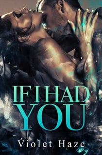 If I Had You: A Second Chance Romance