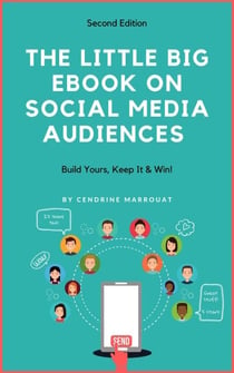 The Little Big eBook on Social Media Audiences: Build Yours, Keep It & Win