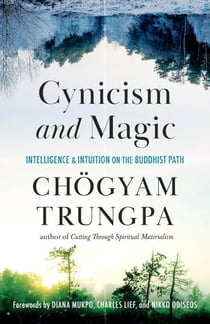 Cynicism and Magic - Intelligence and Intuition on the Buddhist Path