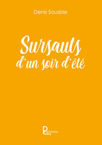 Sursauts d'un soir d'été - Roman